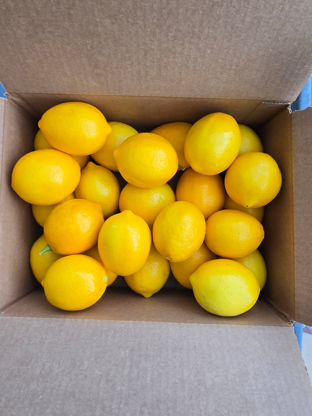 Premium Fresh Meyer Lemons