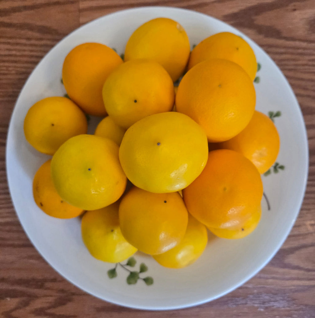 Premium Fresh Meyer Lemons